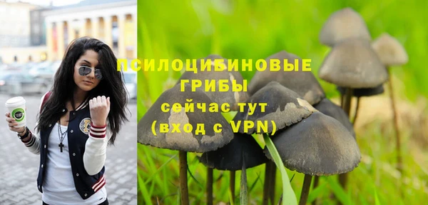 дурь Горняк