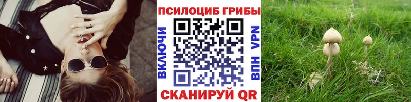 купить  сайты  Жуковка  Псилоцибиновые грибы ЛСД 